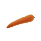 The Rubber Carrot