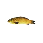 Appearing Fish Small 11inch