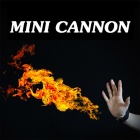 Mini Cannon Remote Control
