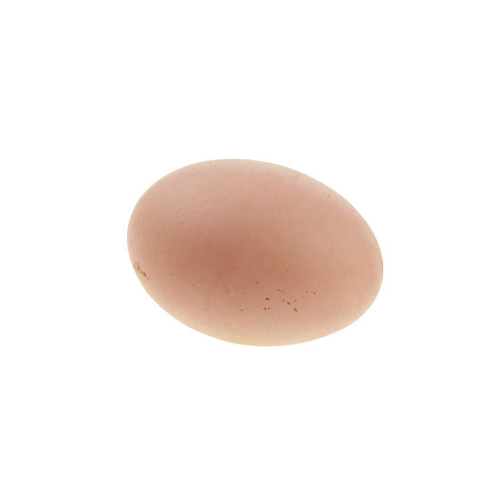 The Rubber Egg - Click Image to Close
