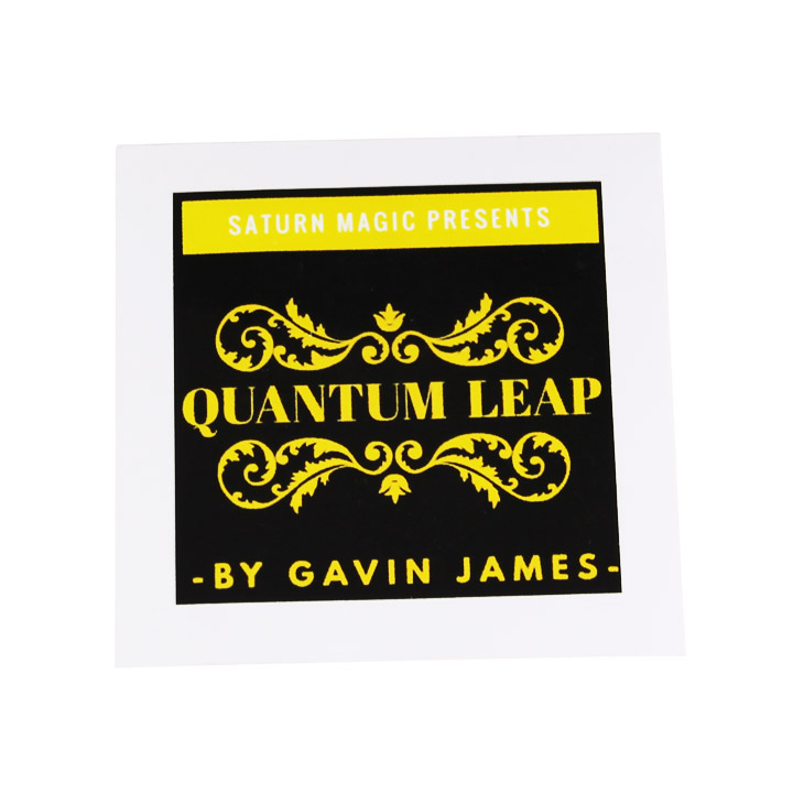 Quantum Leap by Gavin James - Click Image to Close