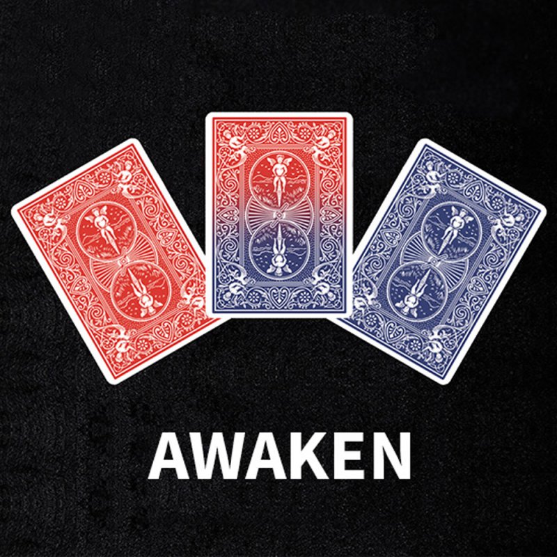 Awaken - Click Image to Close