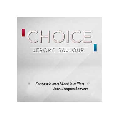 Choice by Jerome Sauloup