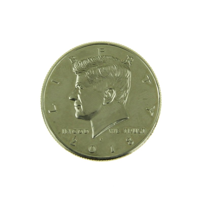 Perfect Expanded Shell Half Dollar - Click Image to Close