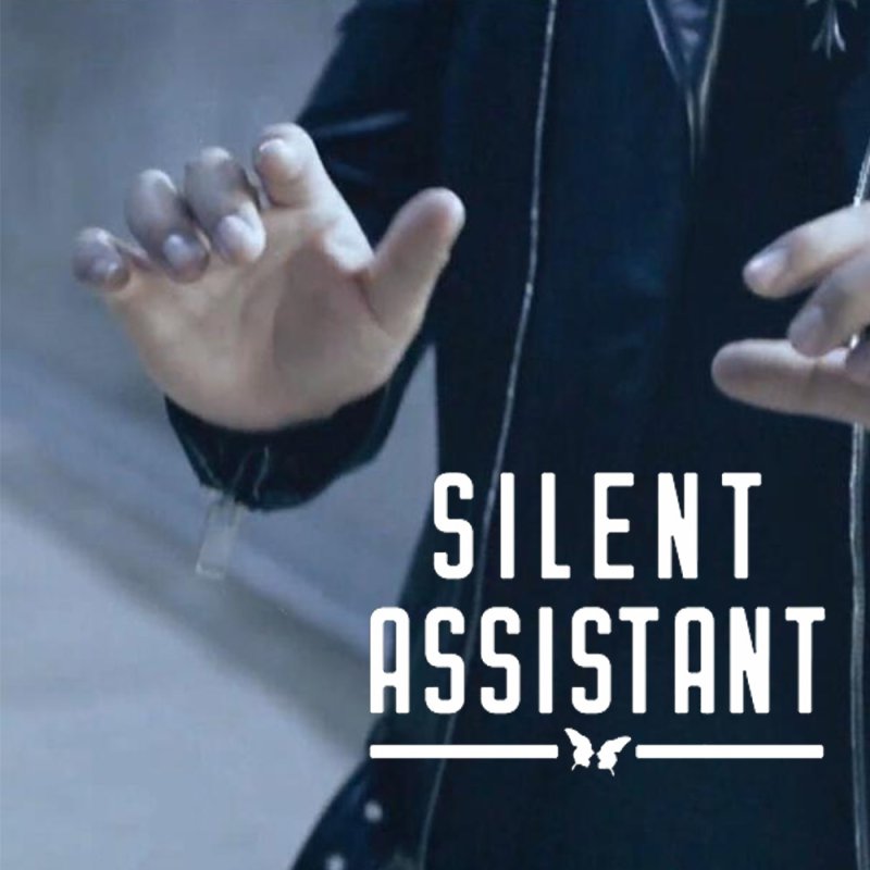 Silent Assistant by SansMinds - Click Image to Close