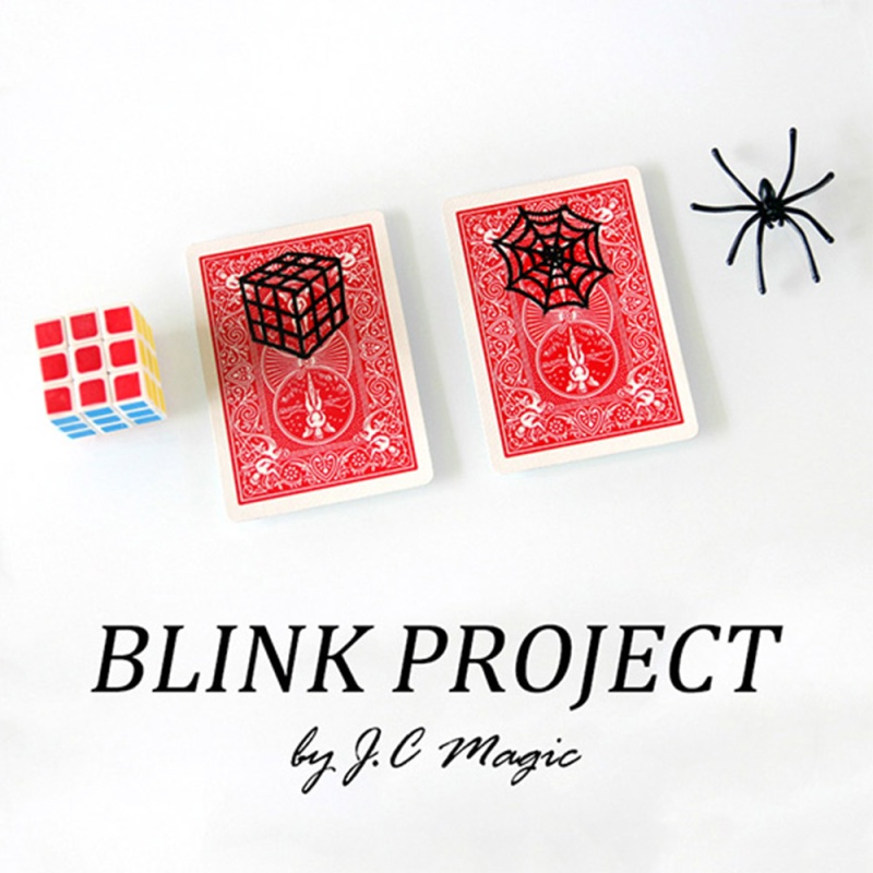Blink Project - Click Image to Close