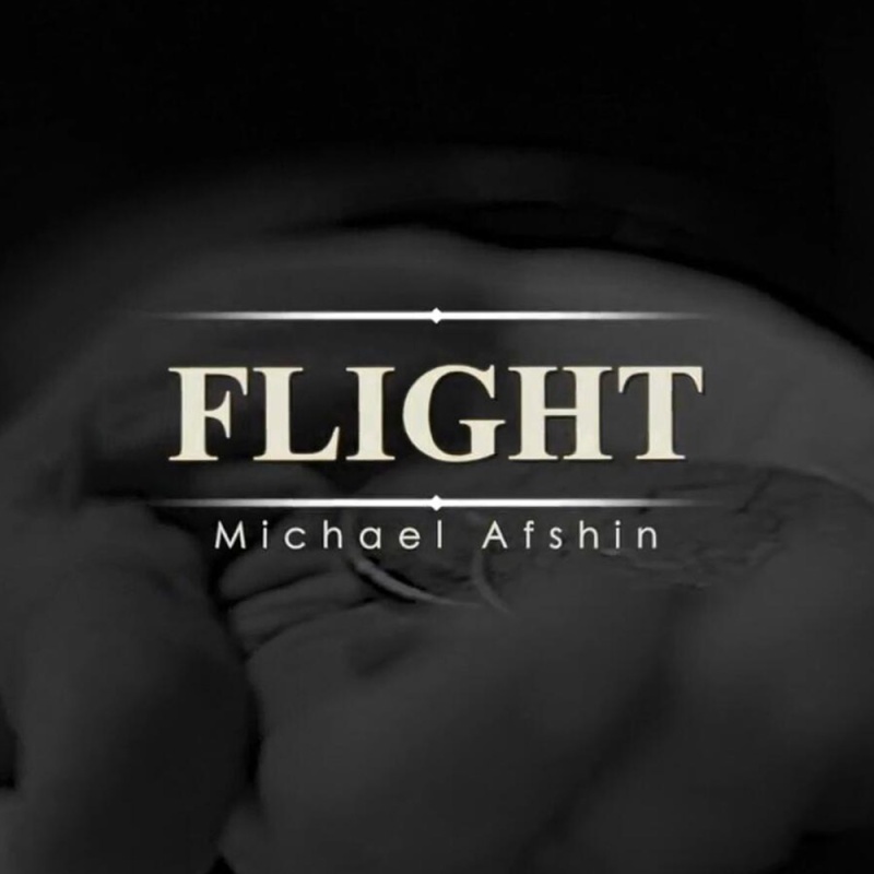 FLIGHT by Michael Afshin - Click Image to Close