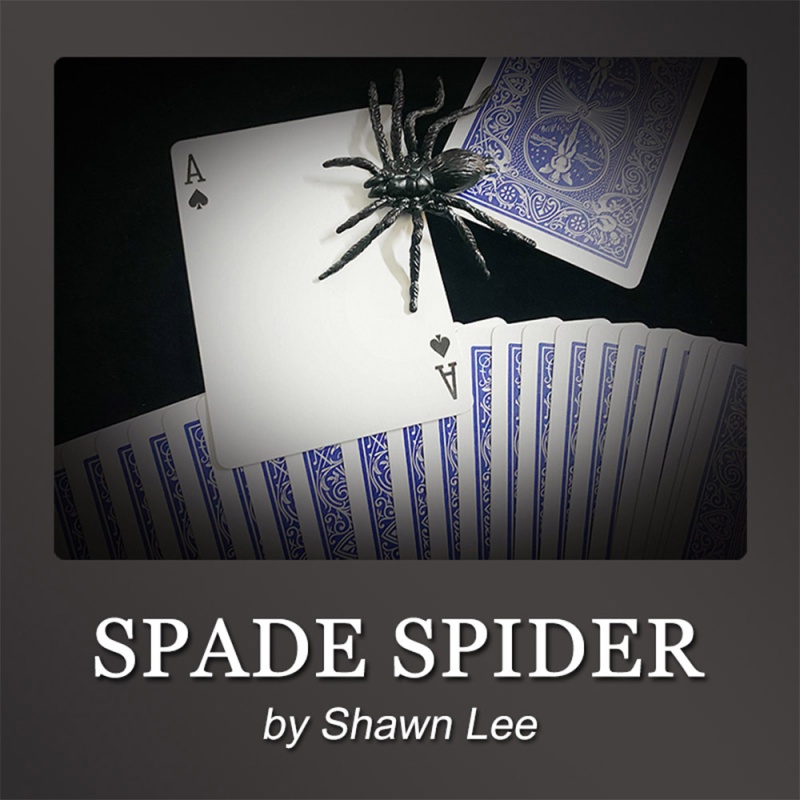 Spade Spider - Click Image to Close