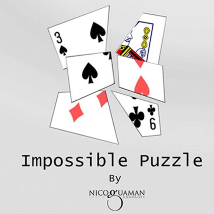 Impossible Puzzle by Nico Guaman