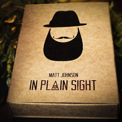 In Plain Sight by Matt Johnson