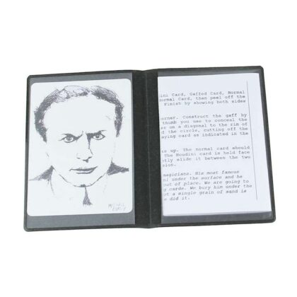 My Favorite Magician by Richard Ribuffo