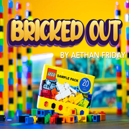 Bricked Out by Aethan Friday