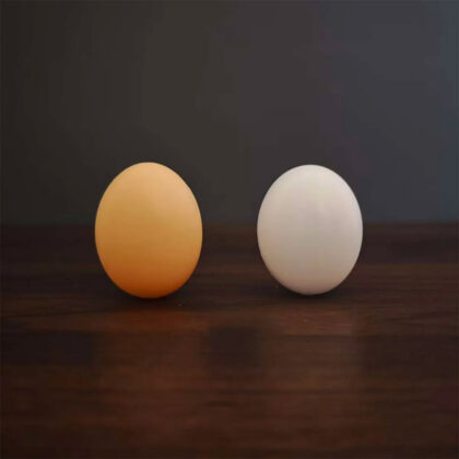 Fake Egg with Hole