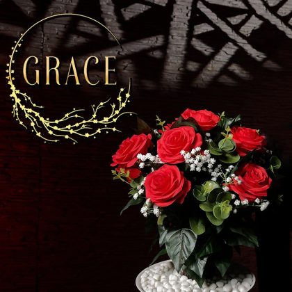 Grace The Magical Plant