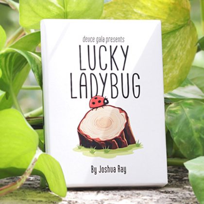 Lucky Ladybug by Joshua Ray