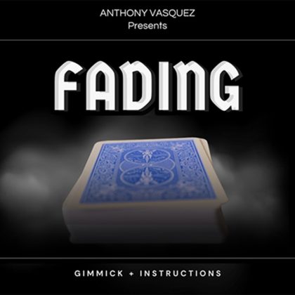 Fading by Anthony Vasquez